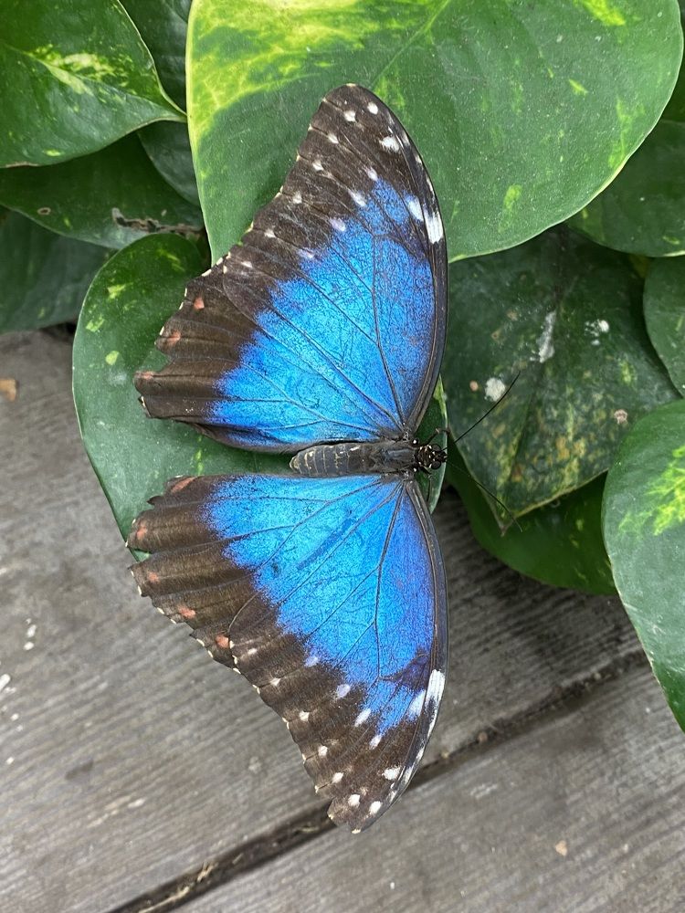 Photograph by Eugenia Schmidt