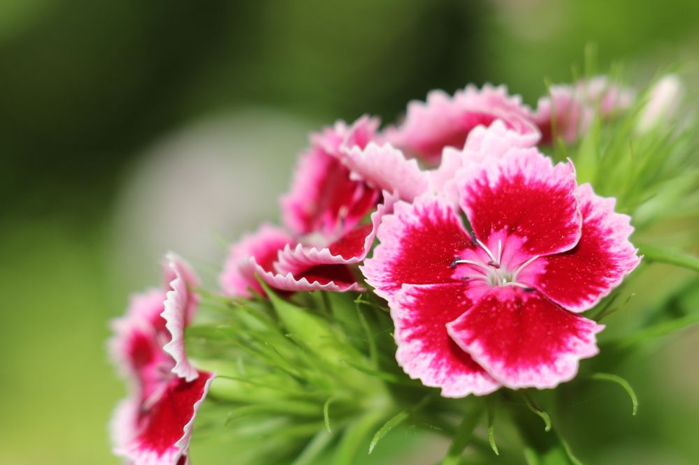 Photograph by Александр Затямин