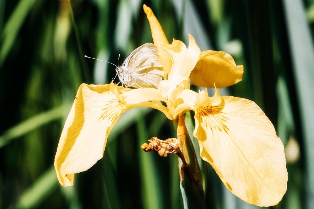 Photograph by Руслан Нигматуллин