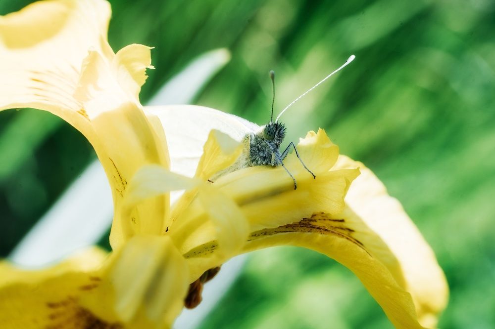 Photograph by Руслан Нигматуллин