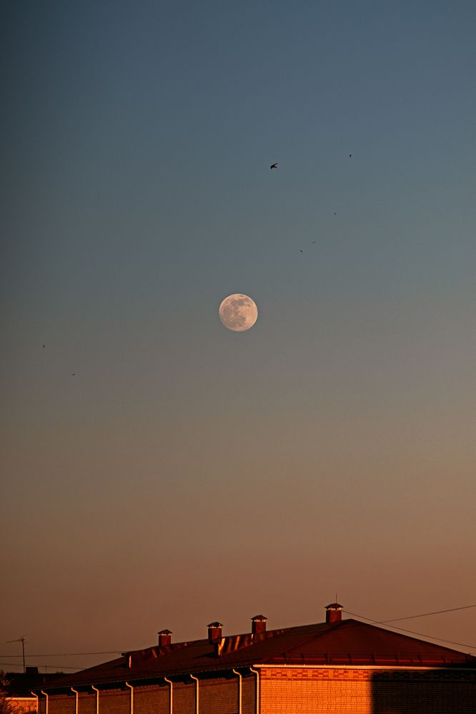 Photograph by Сергей Удовиченко