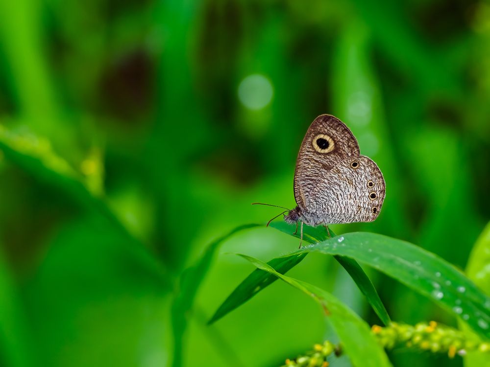 Photograph by Venkat Mangudi