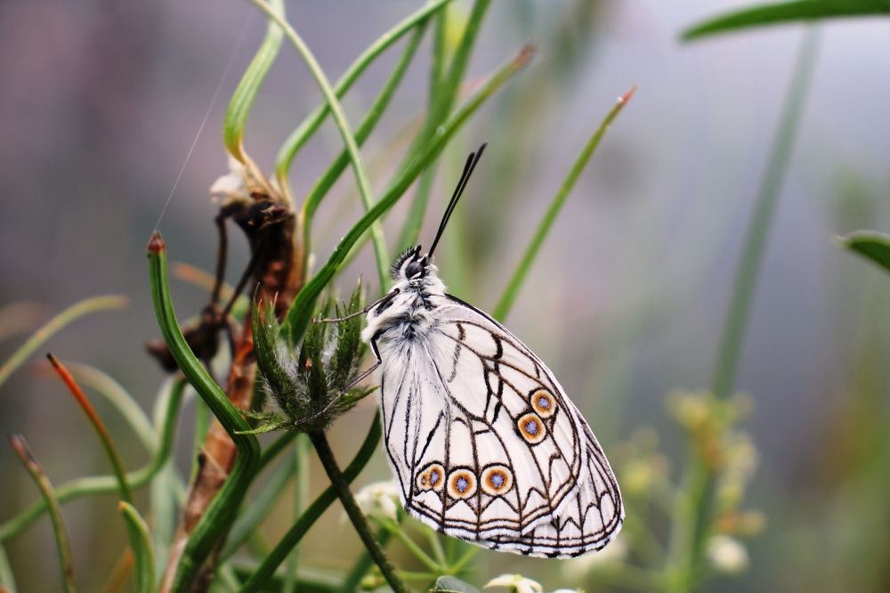 Photograph by Nadzeya