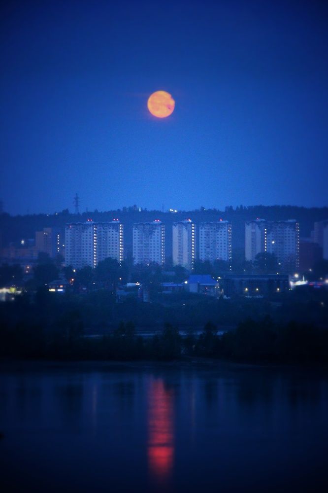 Photograph by Владимир Сушкин