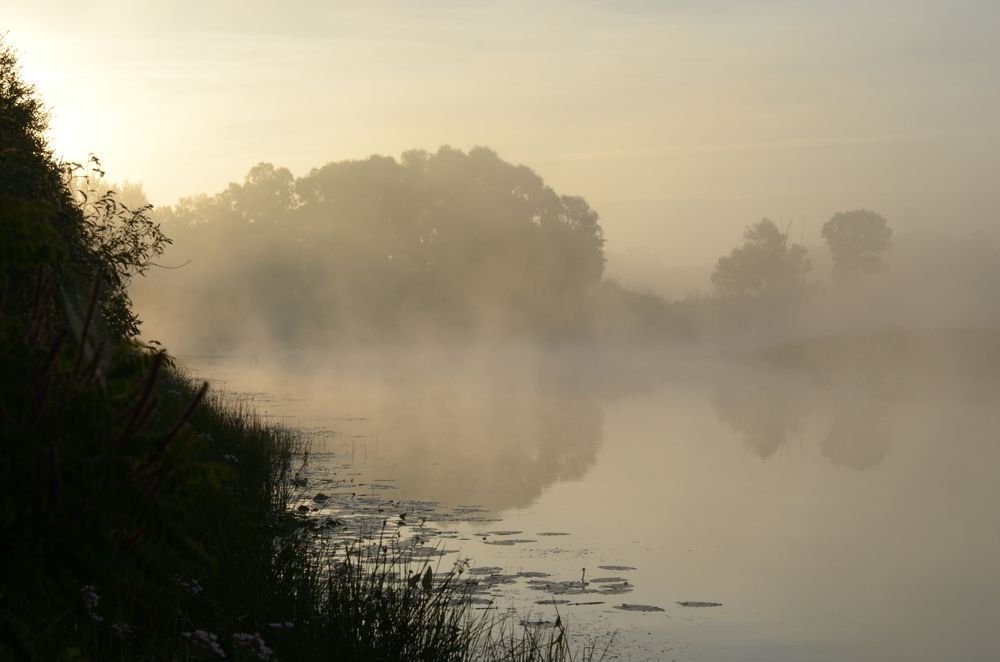 Фотография автора Владимир Брызгунов