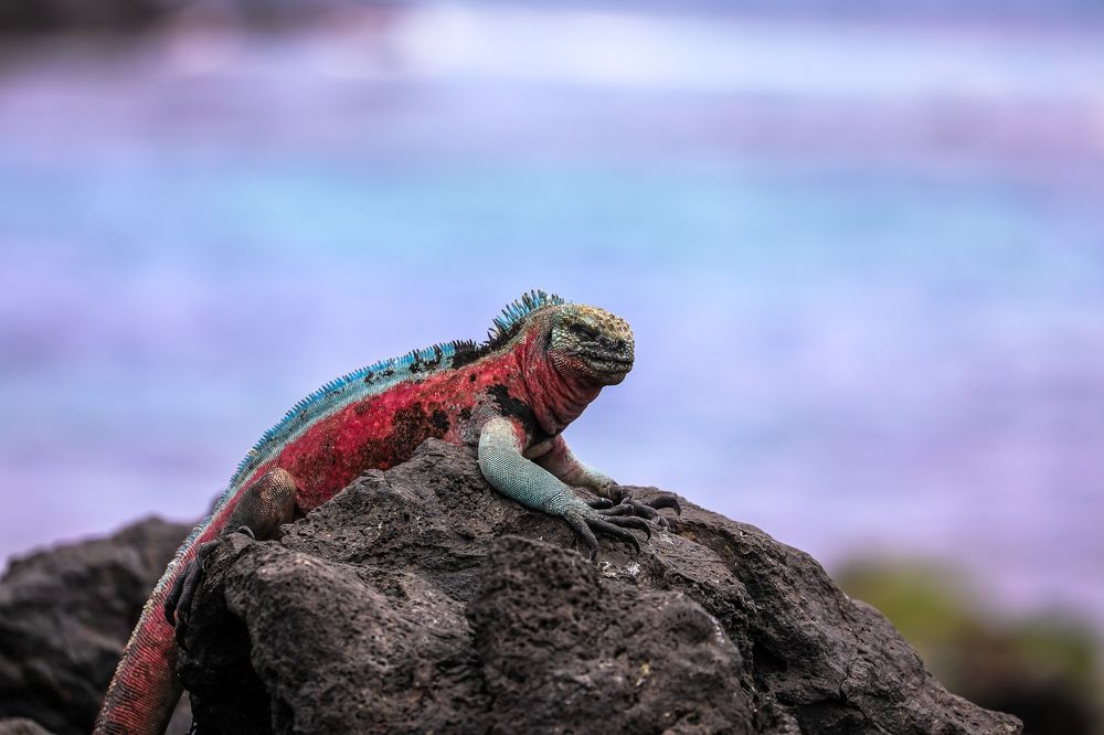 Photograph by Vita Potomova