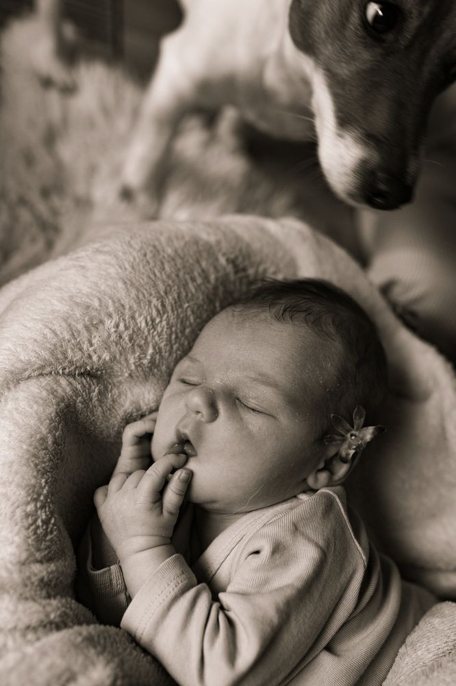 Photograph by Alena Vaganova