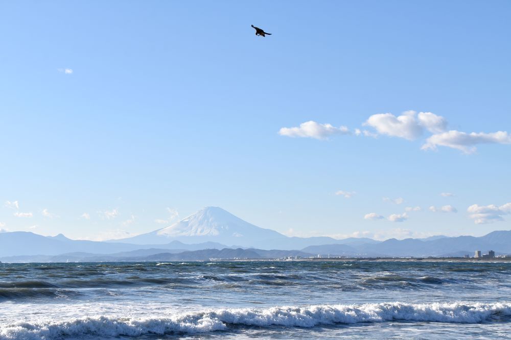 Фотография автора Бакалова Ирина