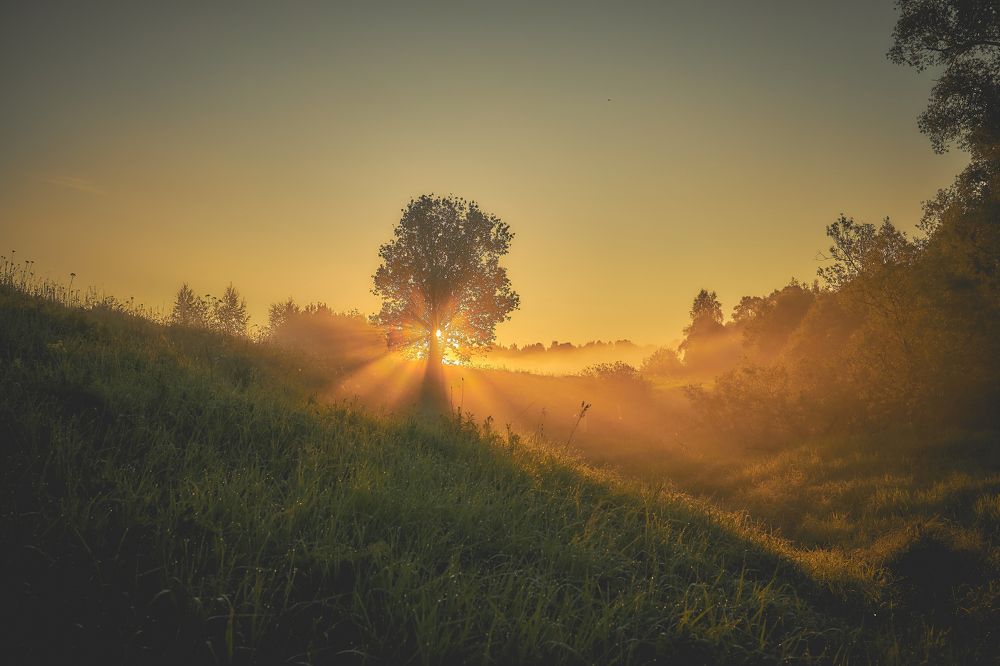Photograph by Владислав Данилов