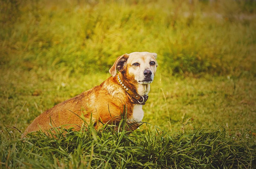 Photograph by Алёна