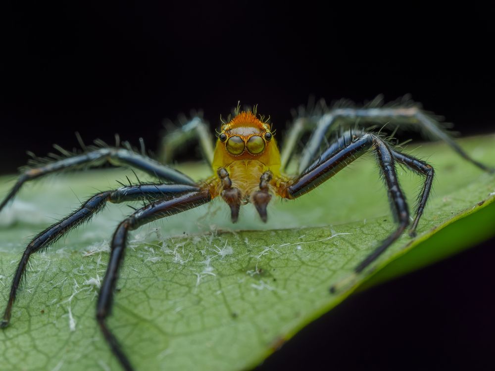 Photograph by Venkat Mangudi