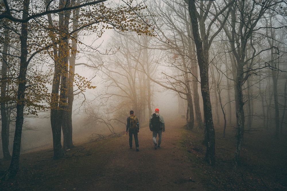 Photograph by Александр Дмитриев