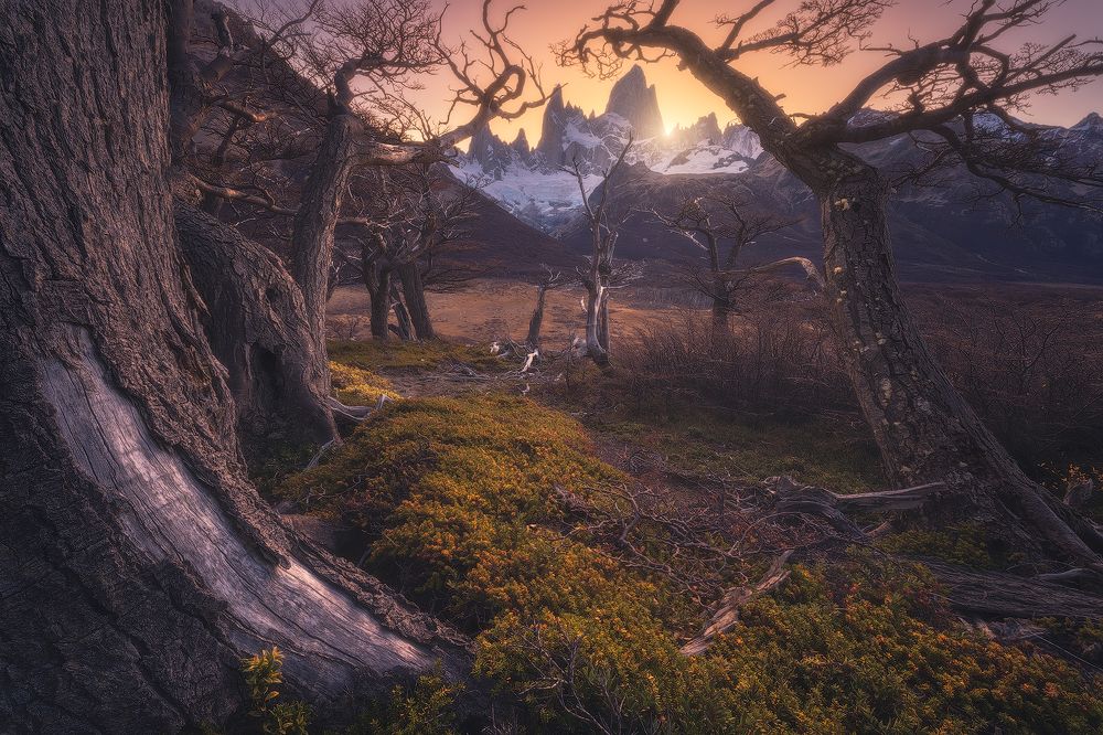 Photograph by Giacomo Finotti