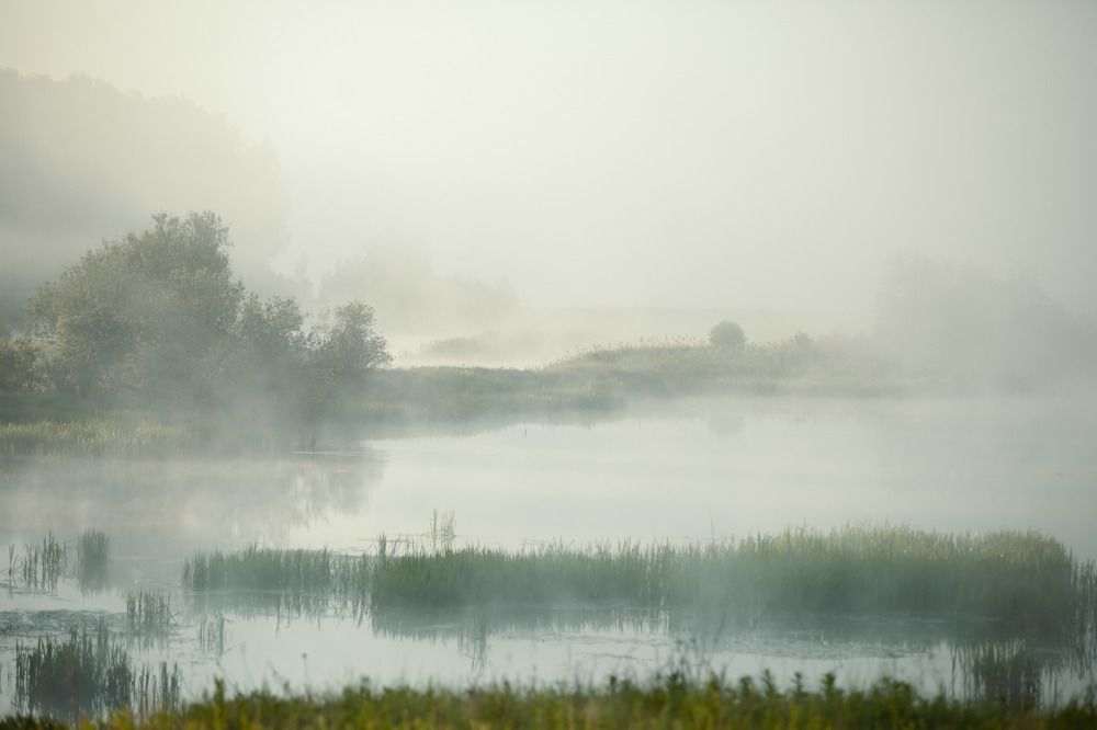 Photograph by Мария Саврасова