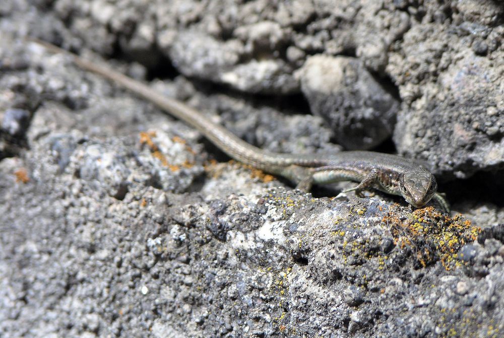 Photograph by Владимир Кривенко