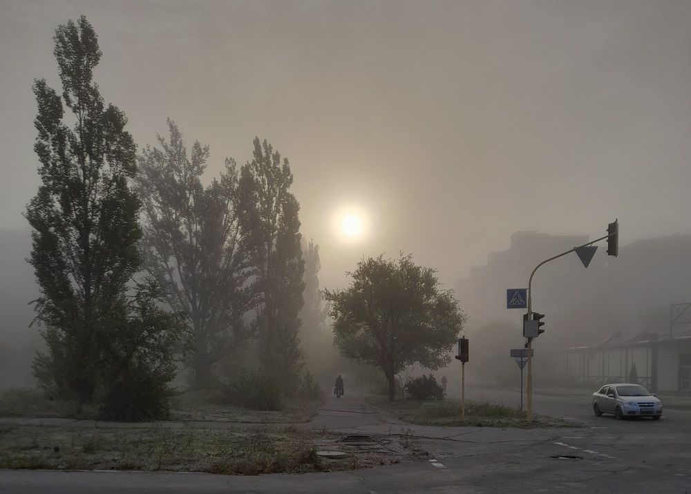 Городские джунгли