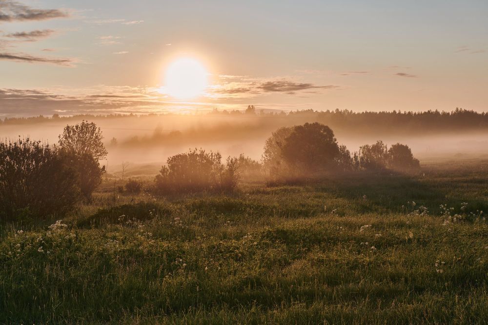 Photograph by Сергей Ветошкин