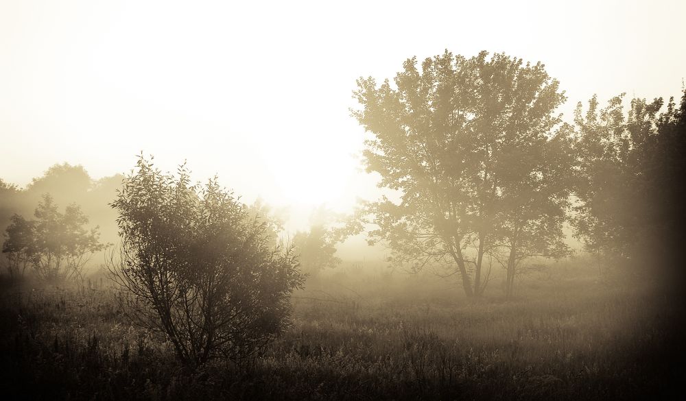 Photograph by Вертиков Юрий