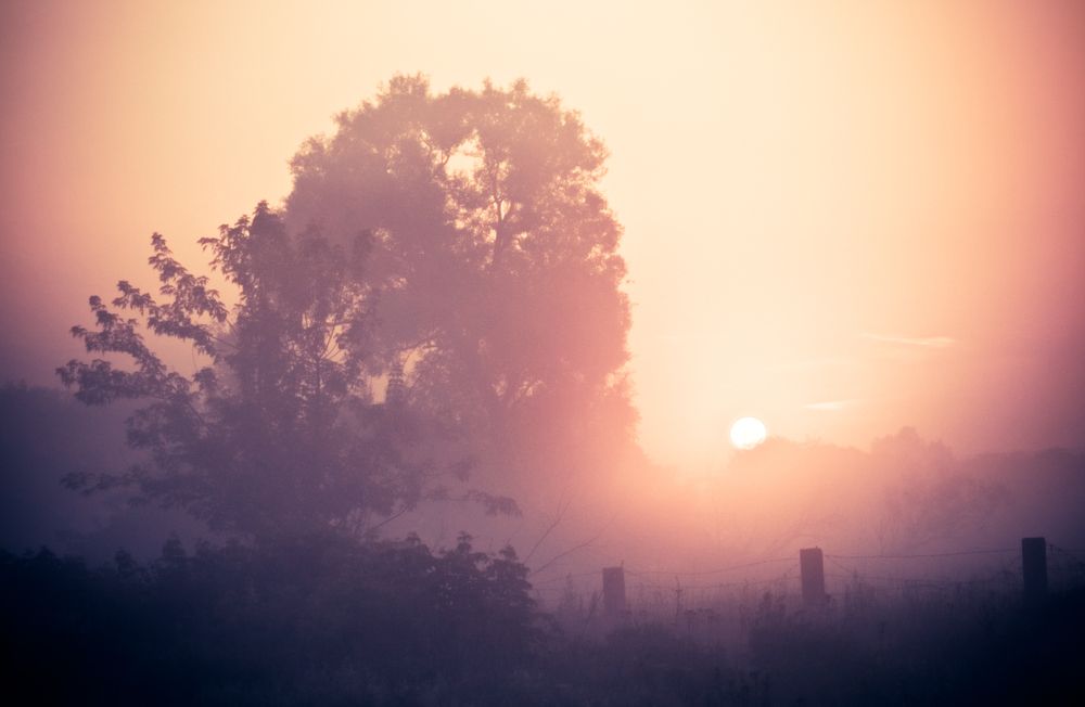 Photograph by Вертиков Юрий