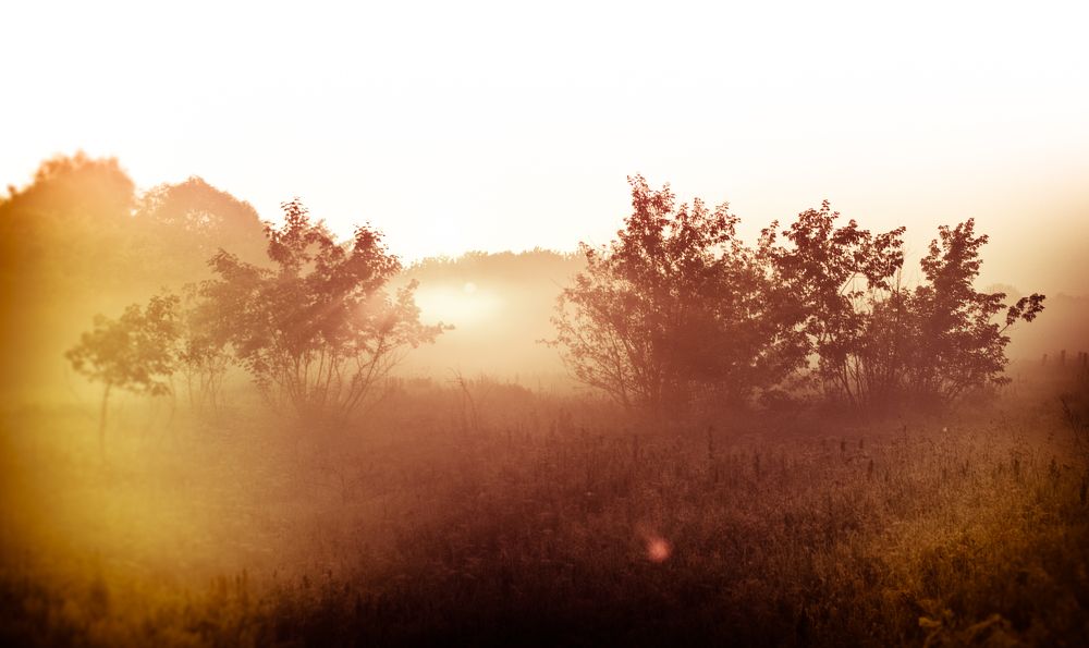 Photograph by Вертиков Юрий