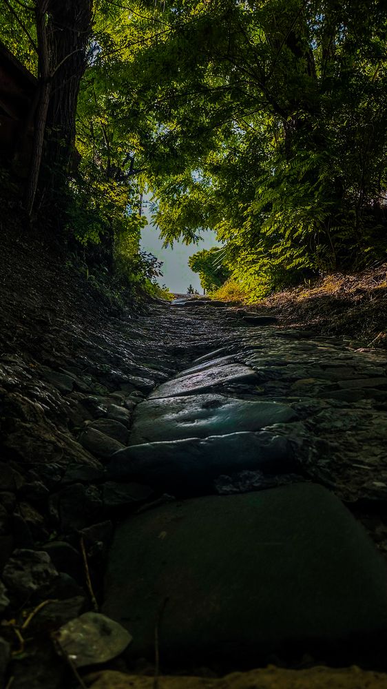 Photograph by Регина