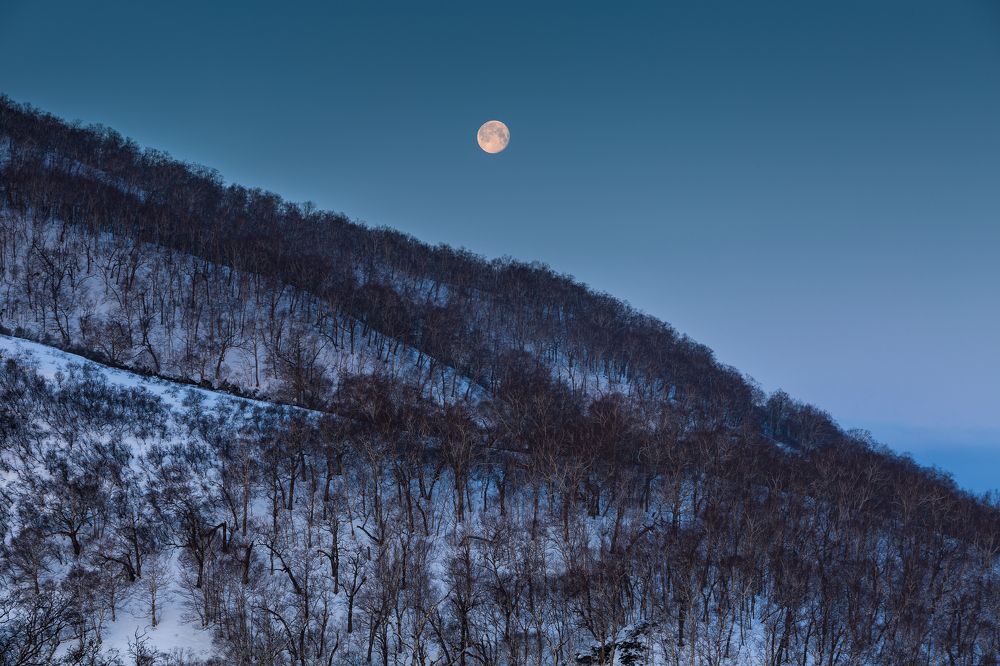 Photograph by Максин Александр