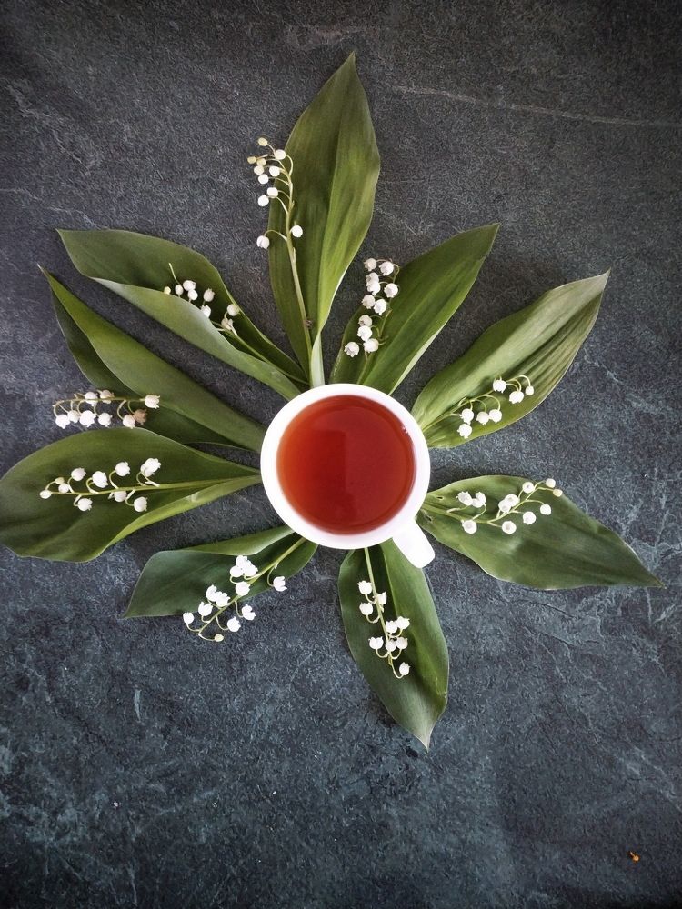 Photograph by Елена Глухарева