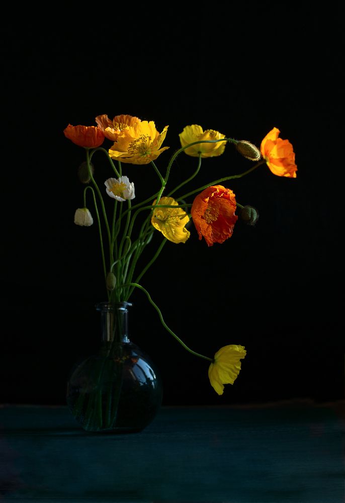 Photograph by Янтарная Елена