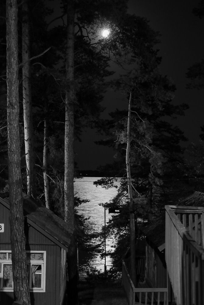 Photograph by Анна Озякова