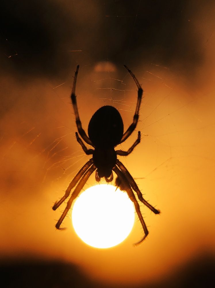 Photograph by Dharmendra Padhiyar