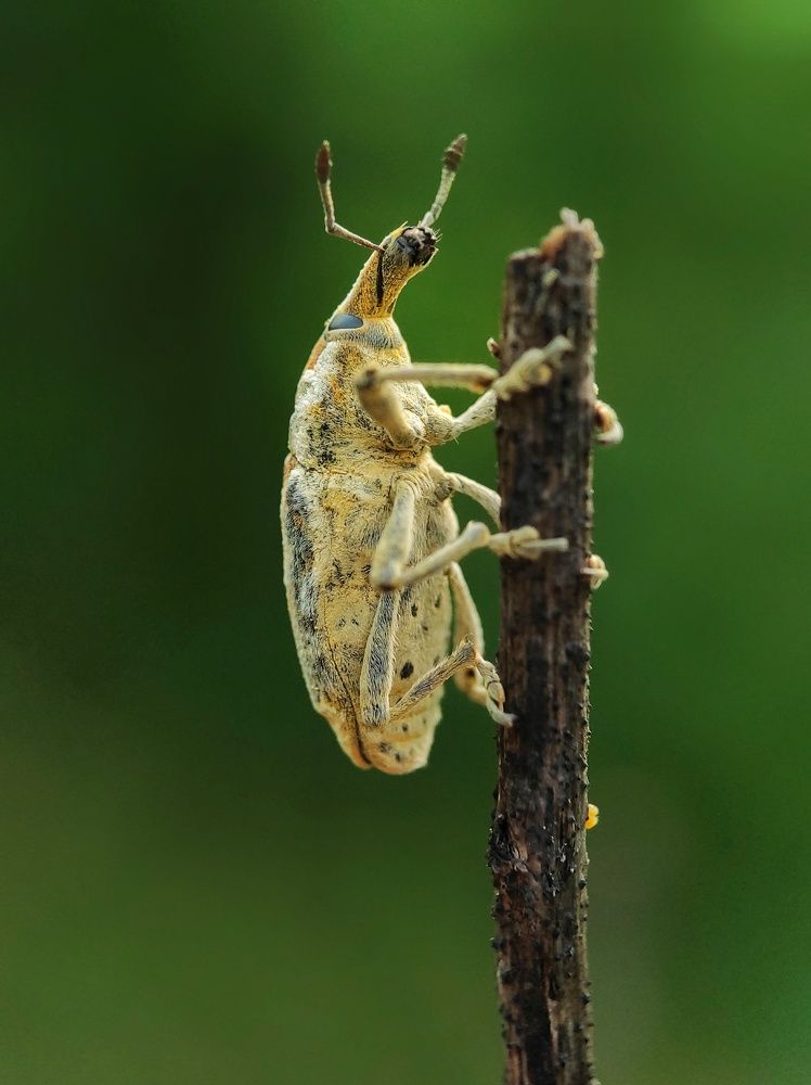 Photograph by Dharmendra Padhiyar