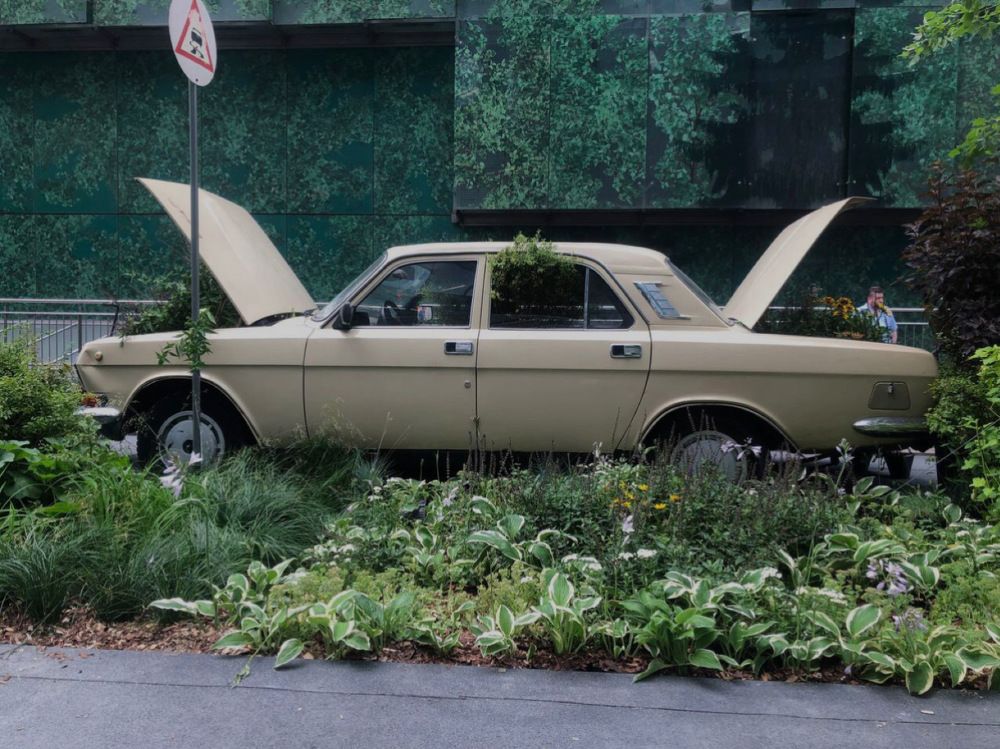 Photograph by Яна Цицилашвили