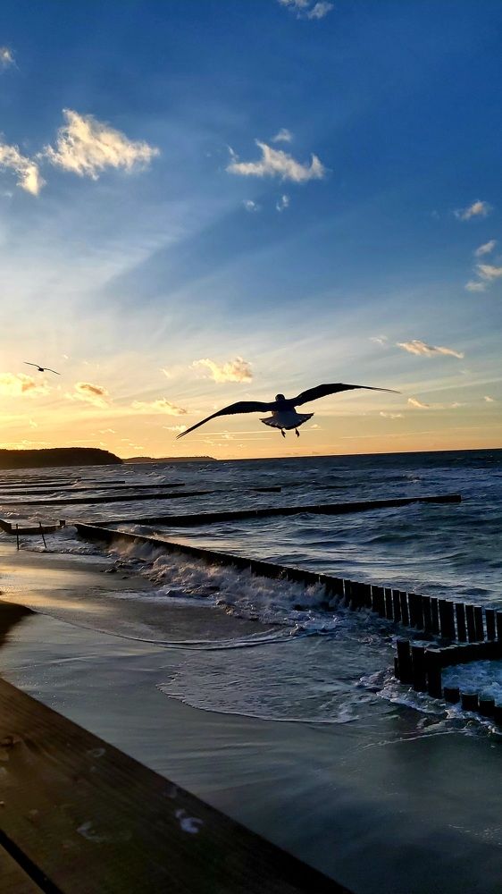 Photograph by Анна Гвоздева