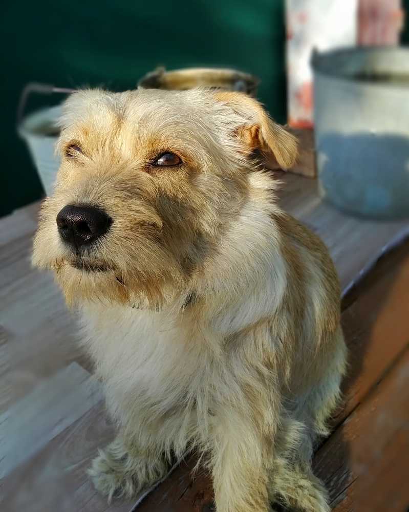 Меня не проведёшь!