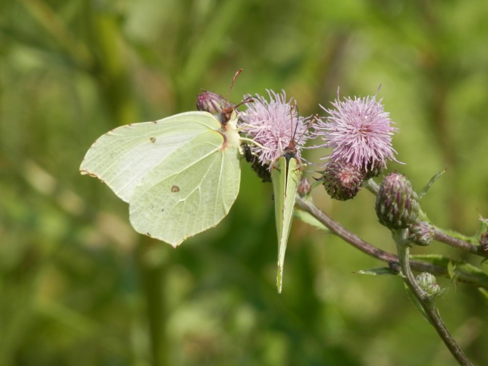 Photograph by Георгий Салюков