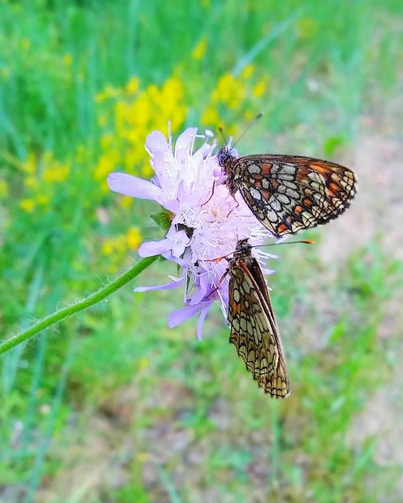 Лето началось