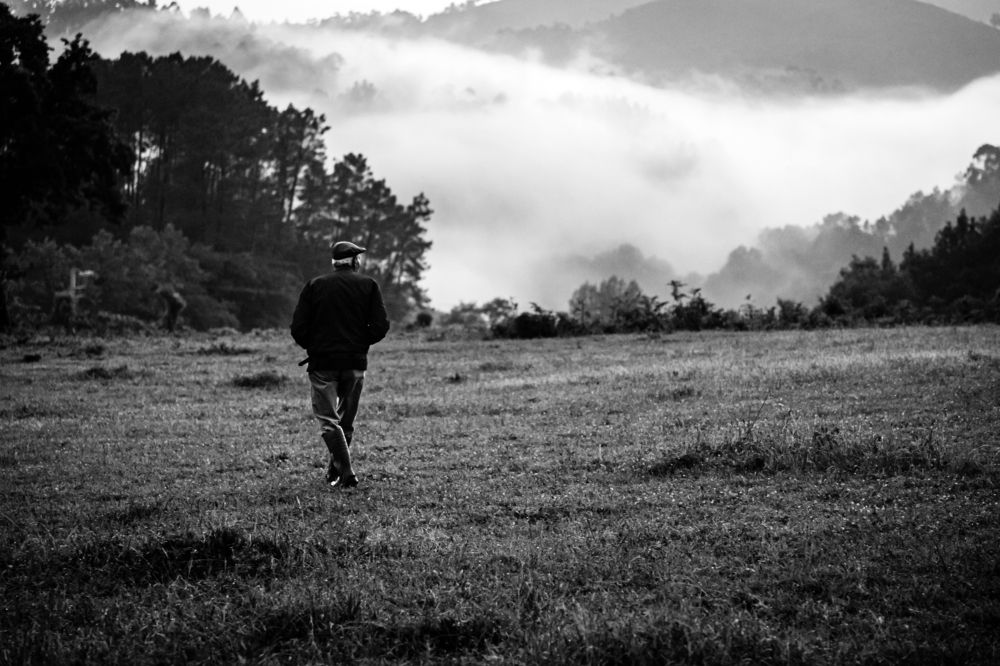 Photograph by João Versos Roldão