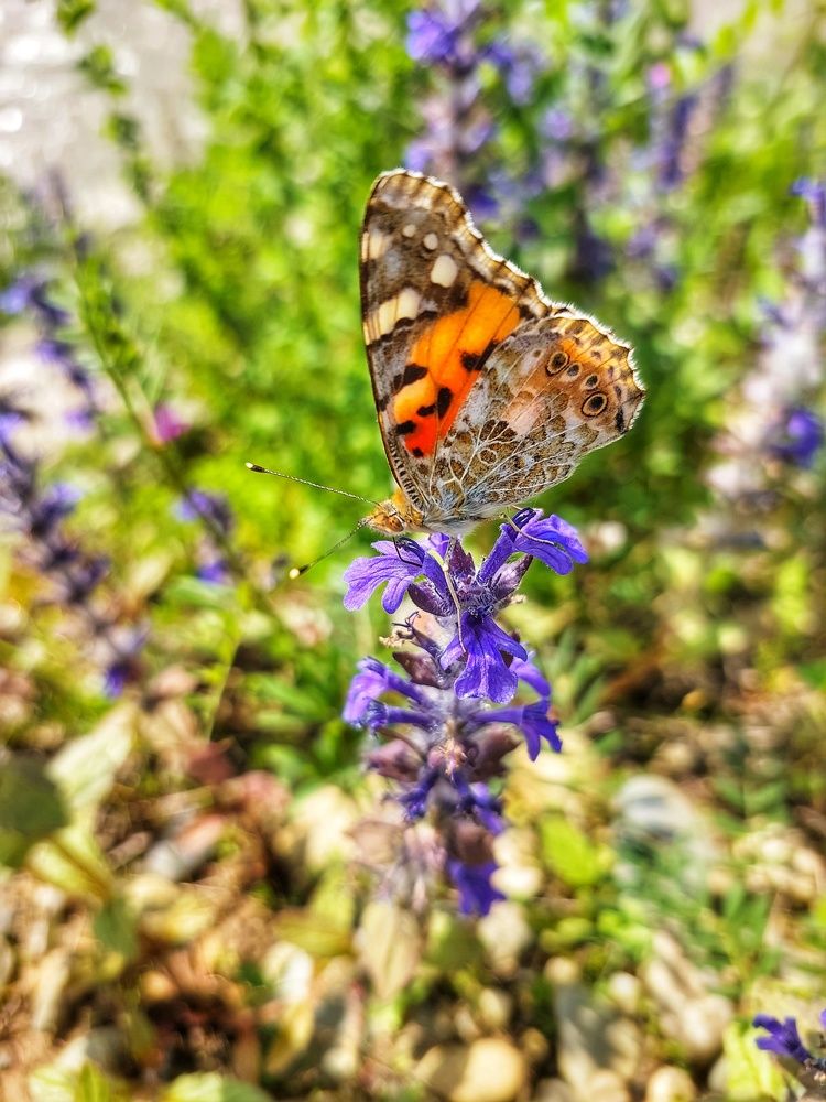 Photograph by Юлия