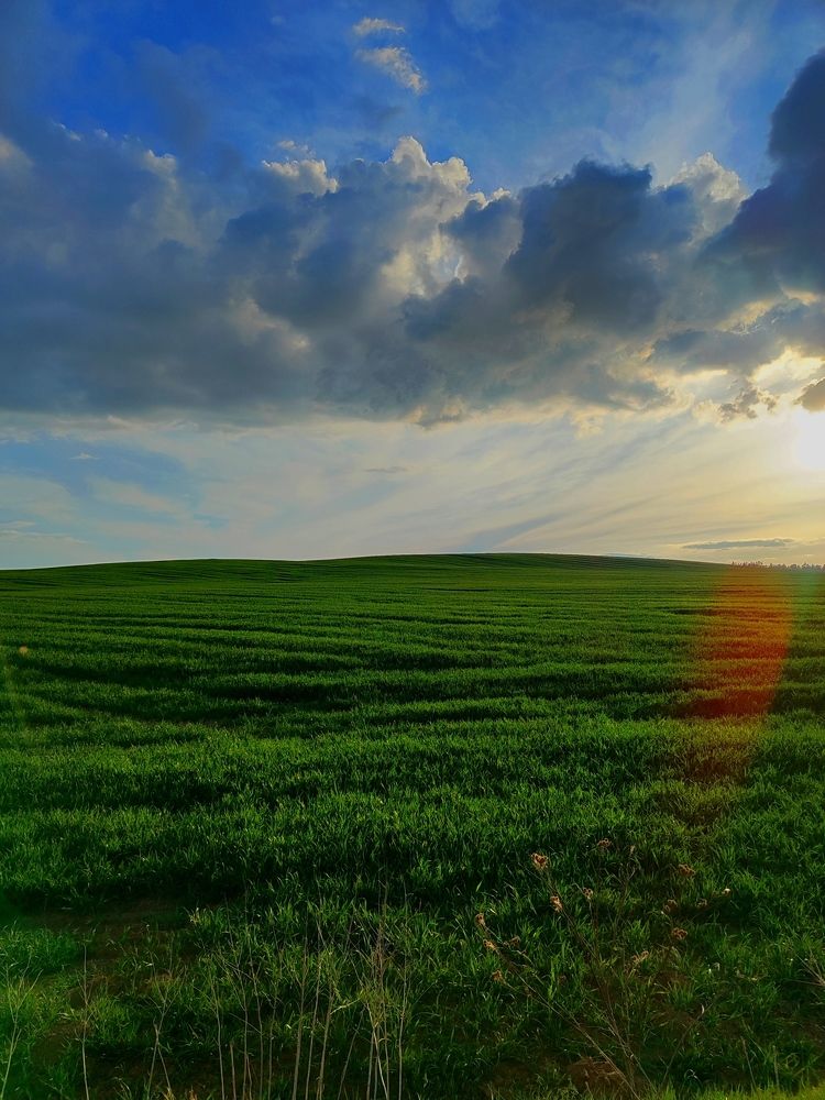 Photograph by Мария Юруть