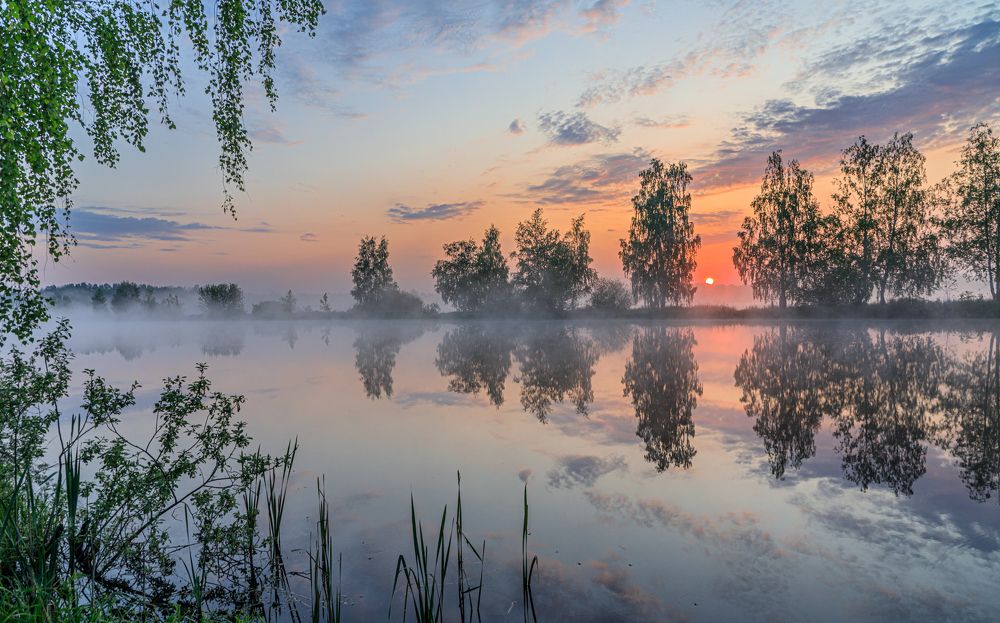 Фотография соответствует номинации!!!