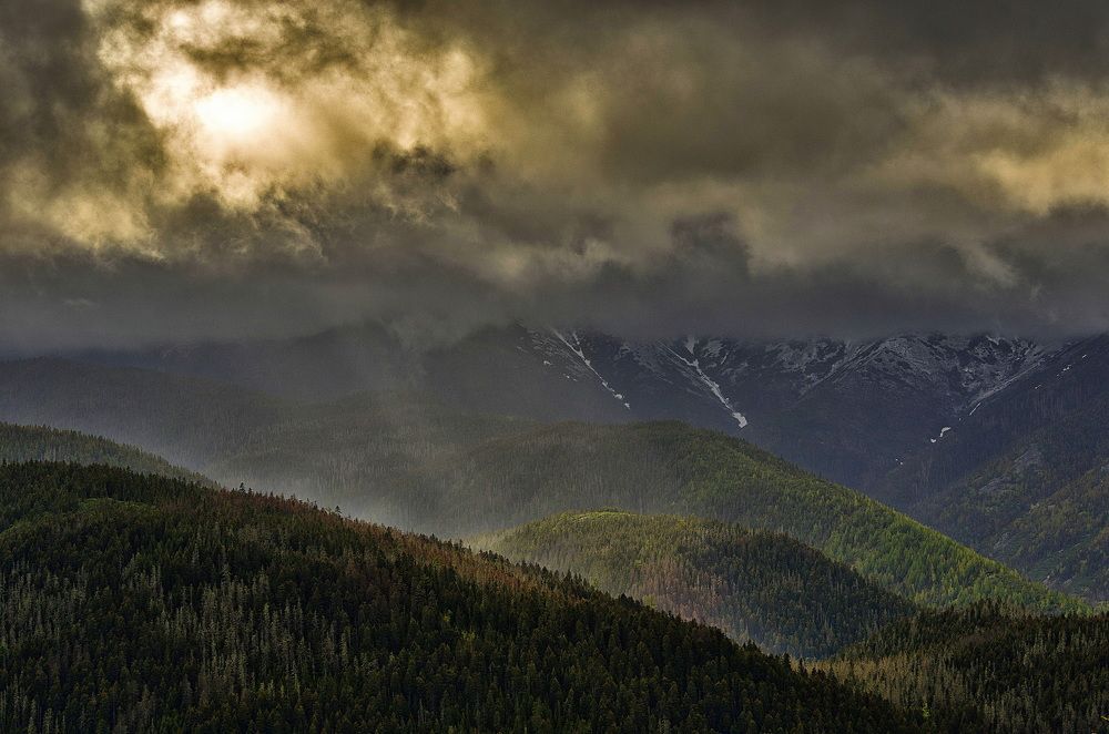 Photograph by Даниил Марков