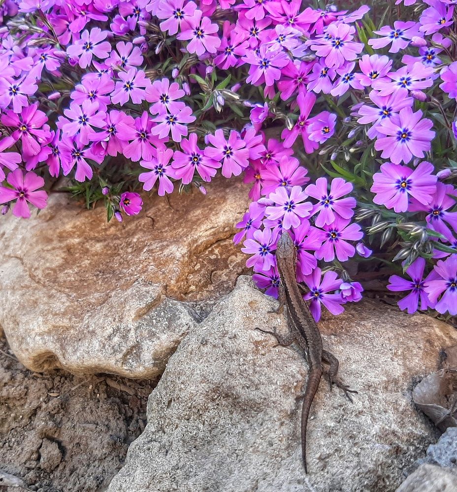 Photograph by Юлия