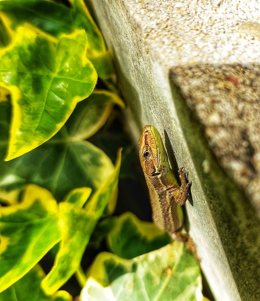 Photograph by Юлия