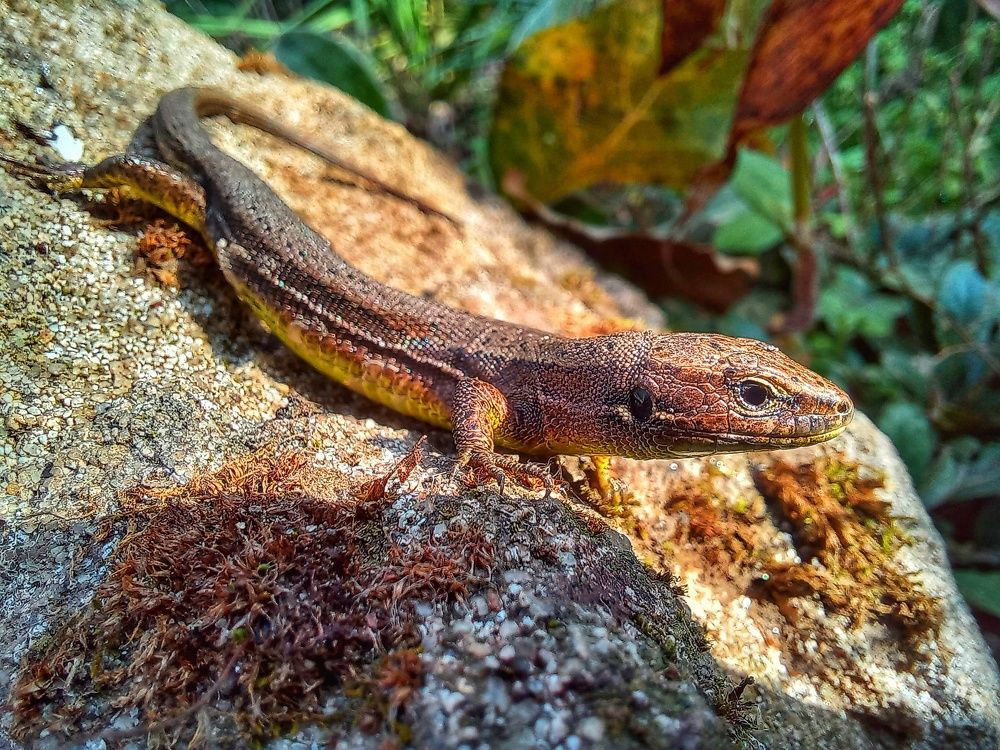 Photograph by Юлия