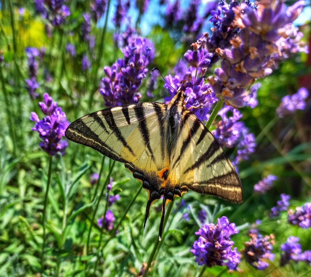 Photograph by Юлия