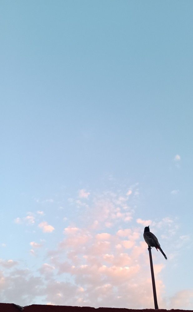 Photograph by Nidhi Singh