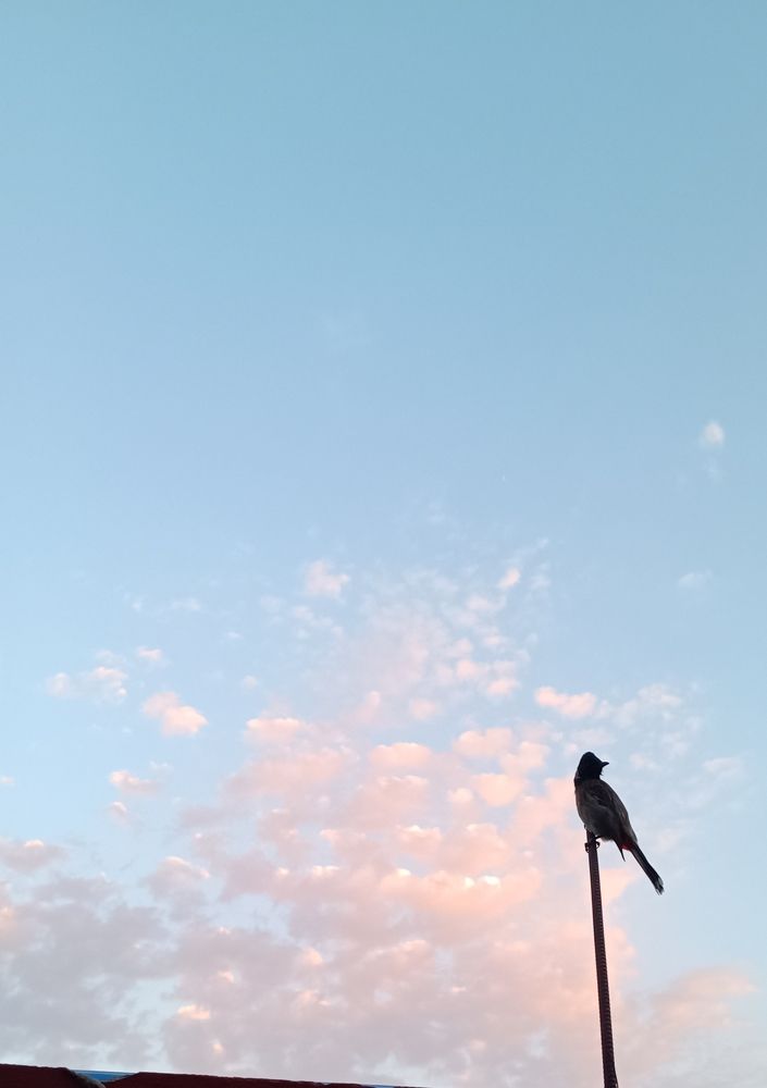 Photograph by Nidhi Singh
