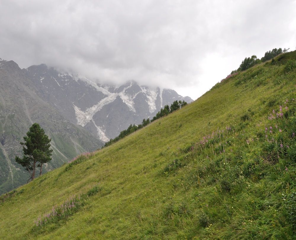 Photograph by Александра Пухкалова