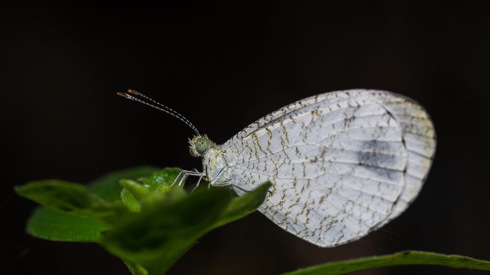 Photograph by Tushar Chindarkar