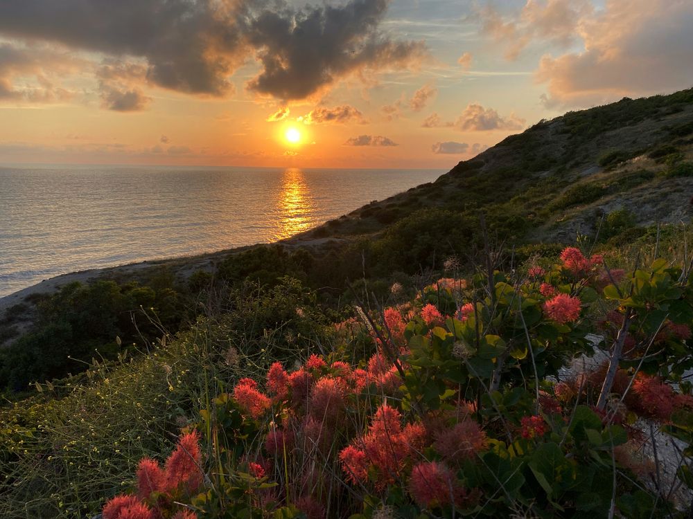 Фотография автора Екатерина Круглик